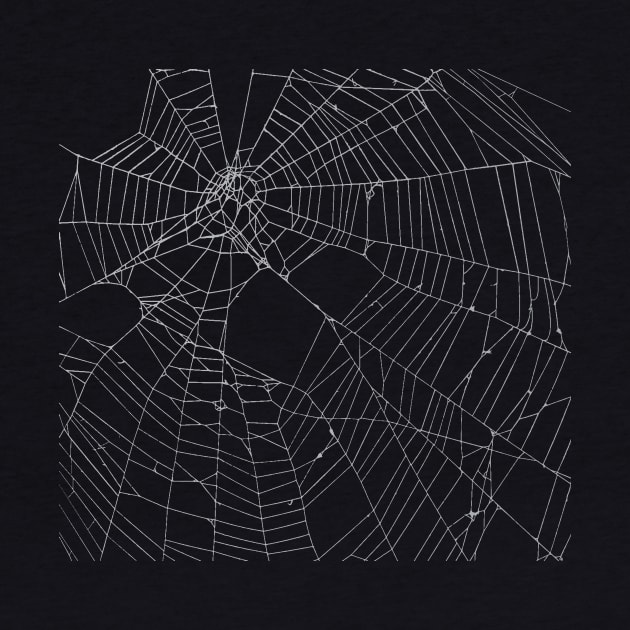 SpiderWeb Web by zeljkica